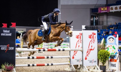 Pony Ludvig