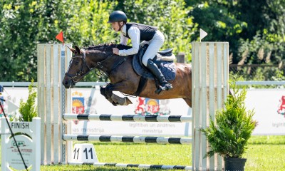  pony for sport