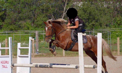 GUSTAVO