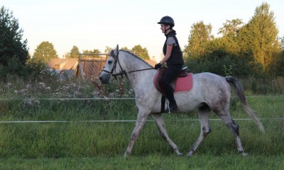 Ponti Pilat