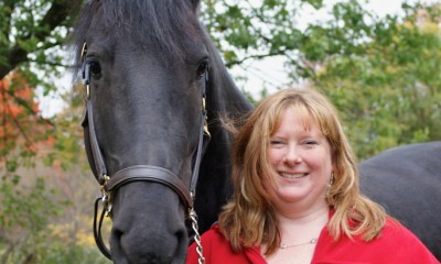 Magnificient Friesian horse
