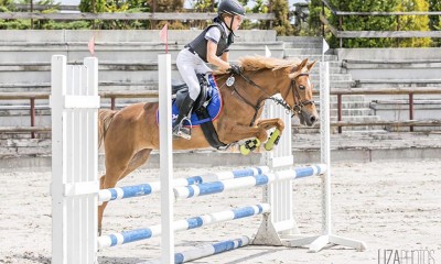Pony