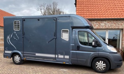 Peugeot Boxer Horse Transporter