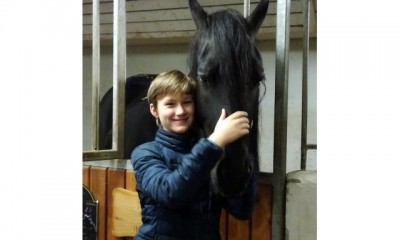 Black Friesian Horse for sale