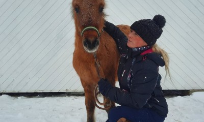 Poni Bandiit