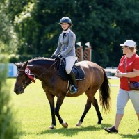 Sport pony