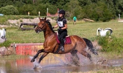 Sporthorse Hyrrem