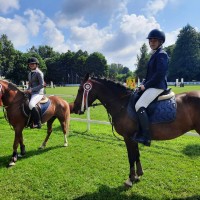  pony for sport