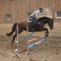 MÜÜA EESTI SPORTHOBUNE  ALA LEE