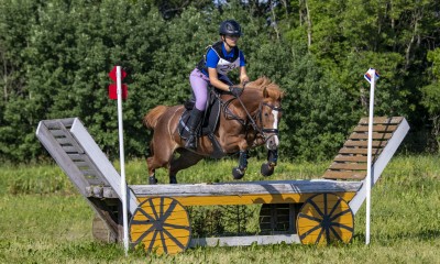 Müüa vahva sportponi!