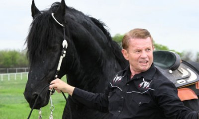 SUPER BLACK FRIESIAN HORSE