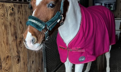 Pony mares 125 cm. 