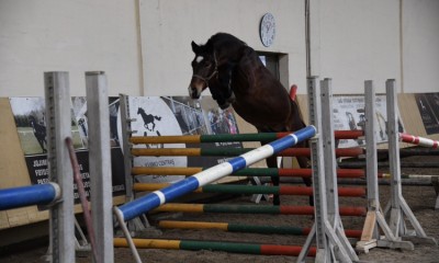 4y old eyecatcher