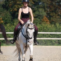 14- aastane kogemustega takistussõidu poni