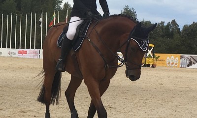 10.a. KWPN ruun