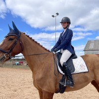 Ilus suur koolisõidusuunaline sporthobuse mära harrastajale või tädiratsutajale