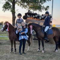  pony for sport