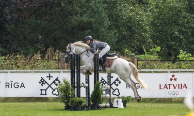 Welsh pony