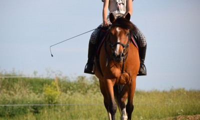 Müüa või vahetada TA Tori mära