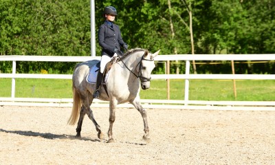 2015 syntynyt tamma, sk 152