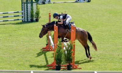 Sport pony