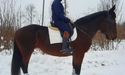 Ecora