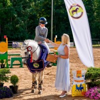 Welsh pony for sport