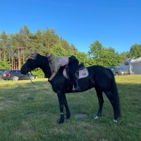 Sportponi Moonlite Melody 