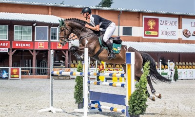 Amaru L- very good stallion by Larimar