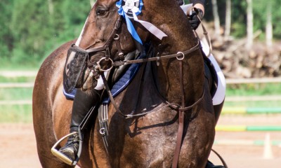 Z Geisha (Zambesi x False Pass)