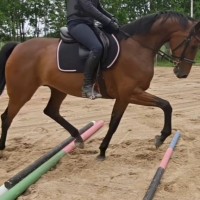 Heliina V