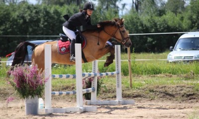 Müüa võimekas poni