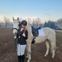 Welsh pony