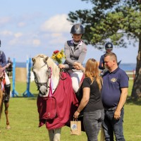 Welsh pony